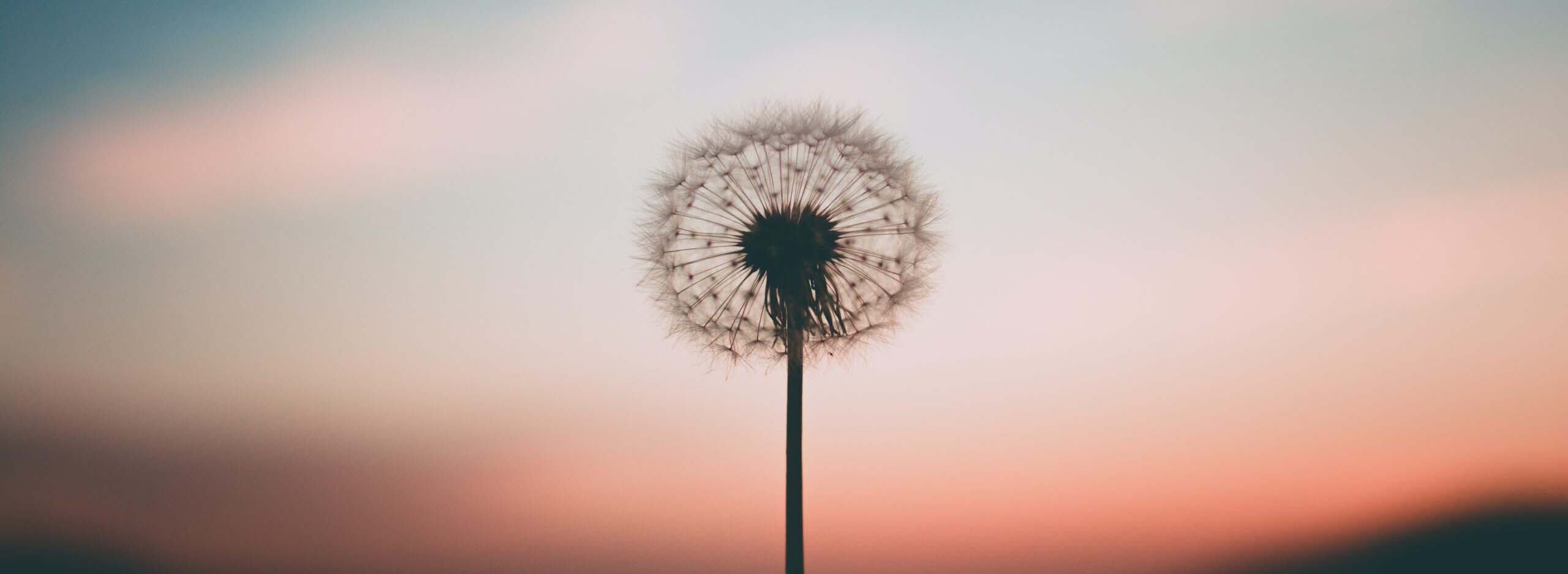 Aleksandr ledogorov G J Jy Yv d A unsplash scaled Kopie Projektbild